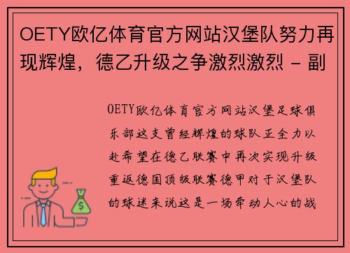 OETY欧亿体育官方网站汉堡队努力再现辉煌，德乙升级之争激烈激烈 - 副本