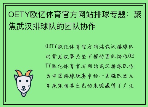 OETY欧亿体育官方网站排球专题：聚焦武汉排球队的团队协作